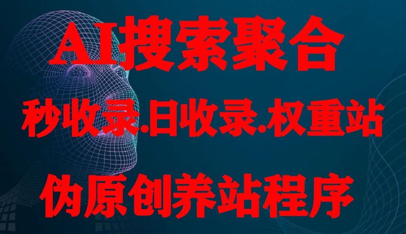 揭秘站群程序的世界：工具助力与挑战并存