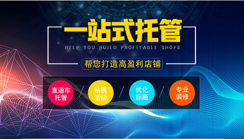 揭秘站群程序行业市场动态